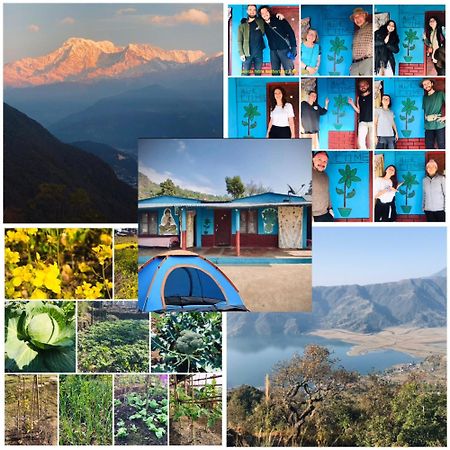 Hom'S Homestay & Farmstay Sarangkot 포카라 외부 사진
