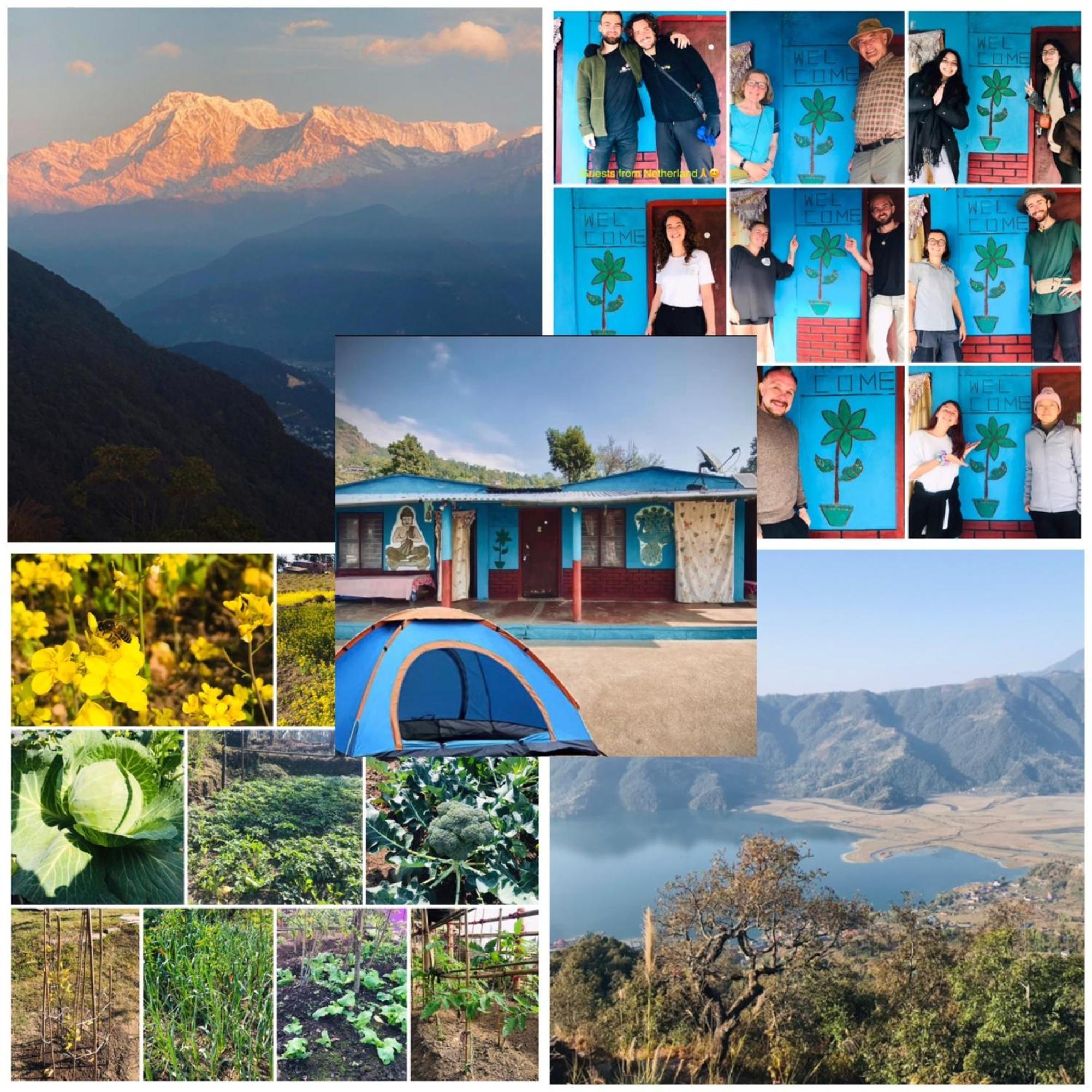 Hom'S Homestay & Farmstay Sarangkot 포카라 외부 사진